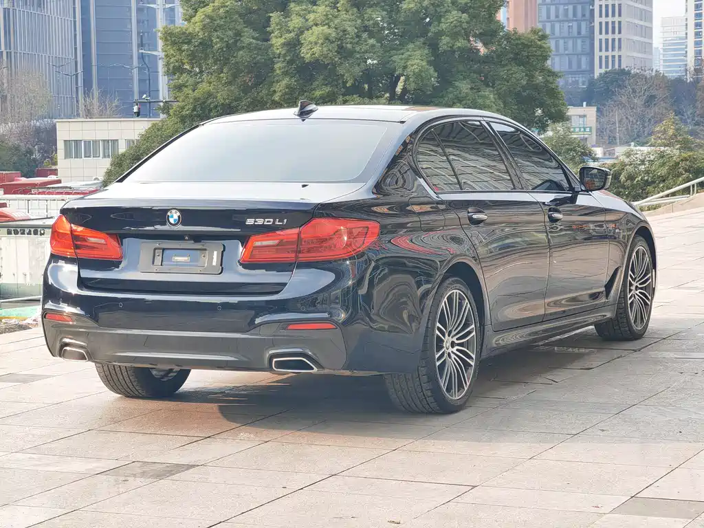 BMW 5 Series 2018 — фото 4