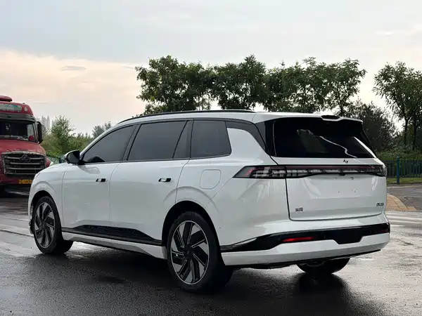 Dongfeng e008 2024