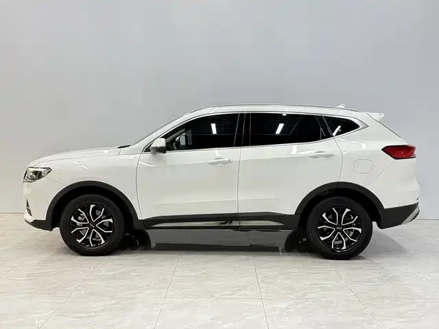 Haval H6 2022 — фото 2