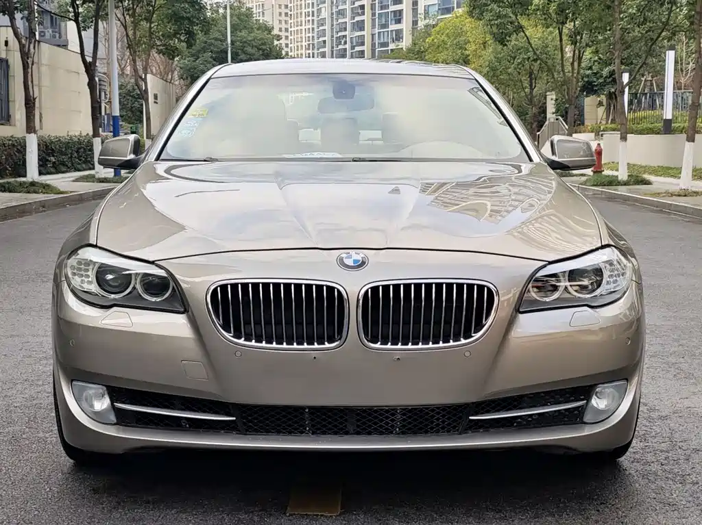 BMW 5 Series 2010 — фото 8