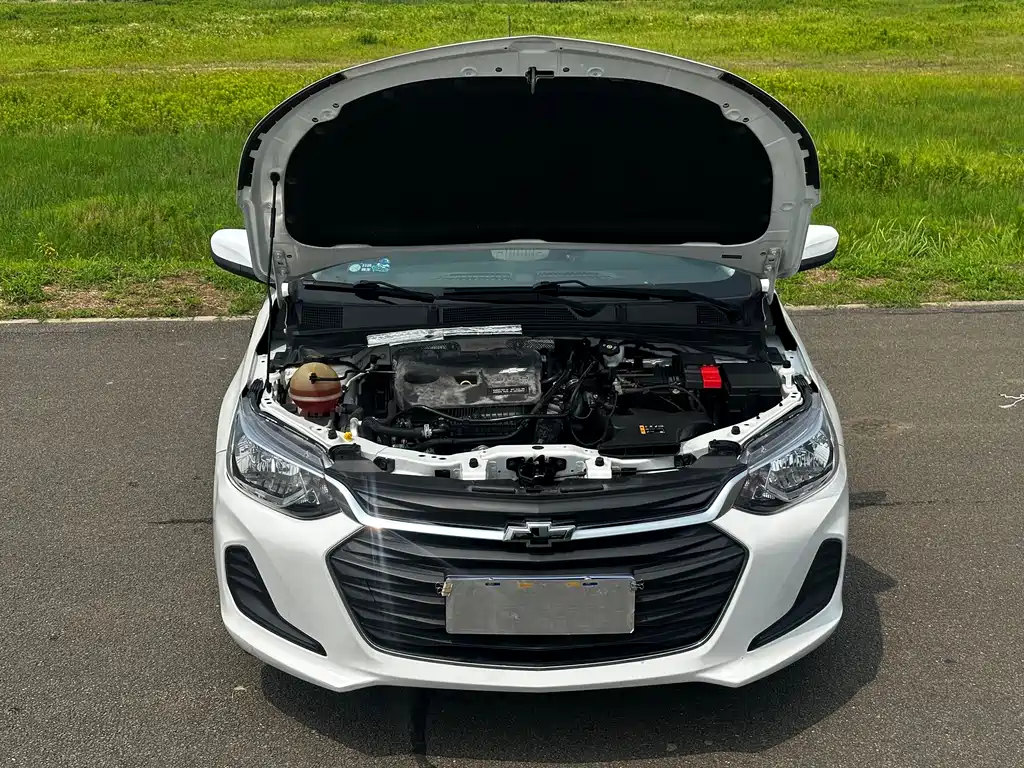 Chevrolet Cavalier 2020 — фото 16