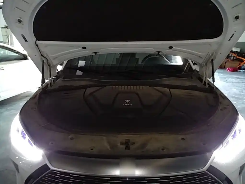 BYD PLUS New Energy 2023 — фото 20