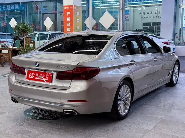 BMW 5 Series New Energy 2019