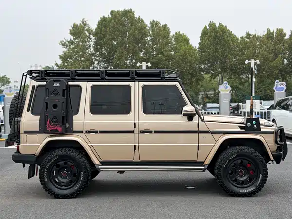 Mercedes-Benz G-Class 2010