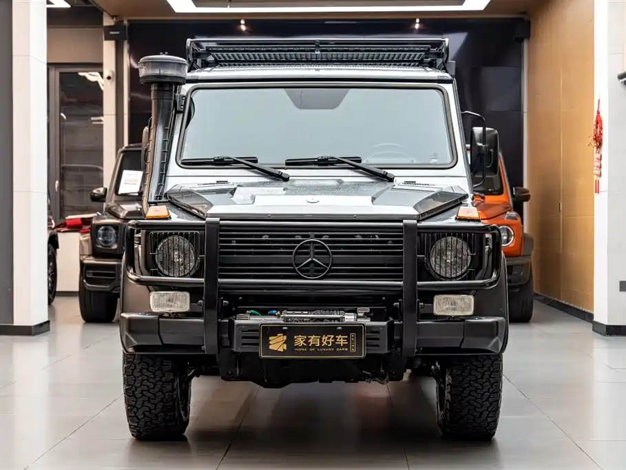 Mercedes-Benz G-Class 2019 — фото 2