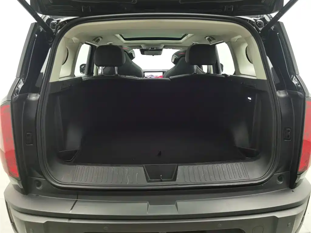 Haval Cool Dog 2023 — фото 16