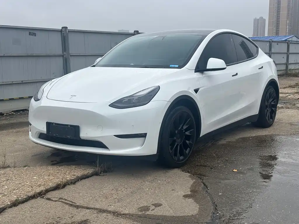 Tesla Model Y 2021 — фото 1