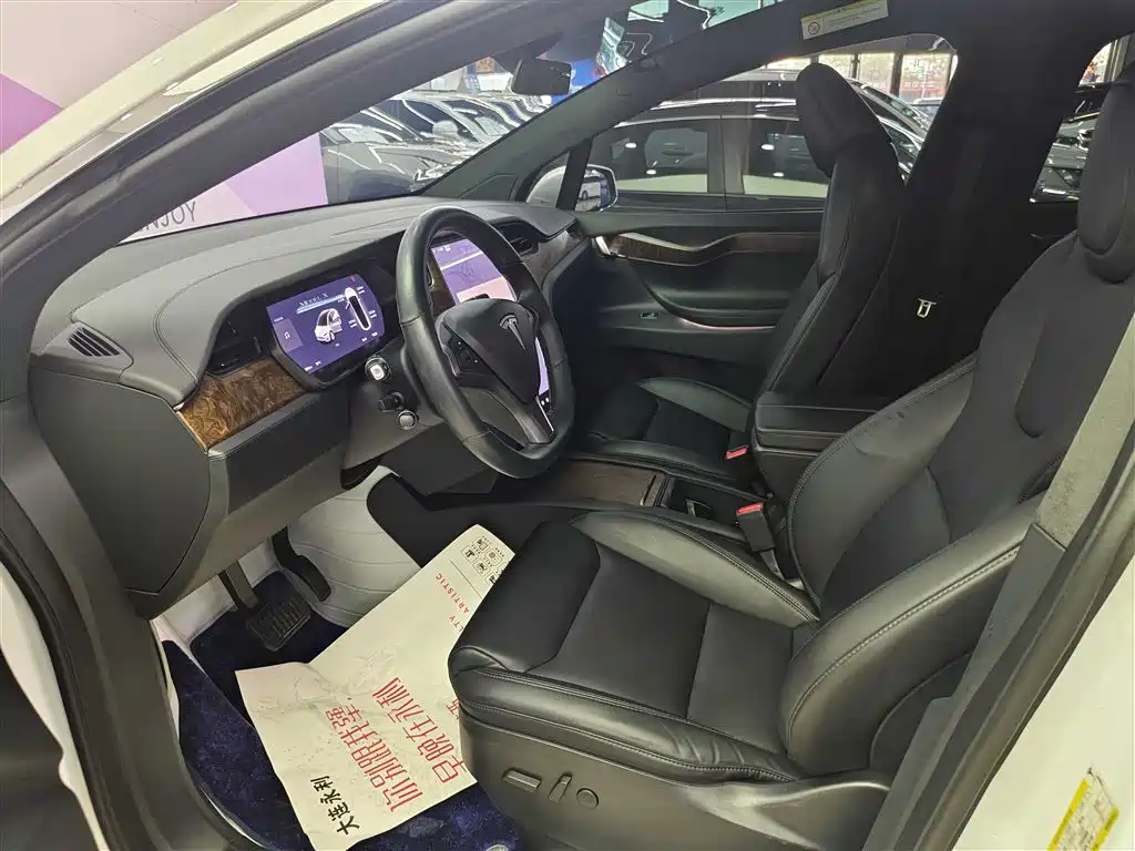 Tesla Model X 2020 — фото 10