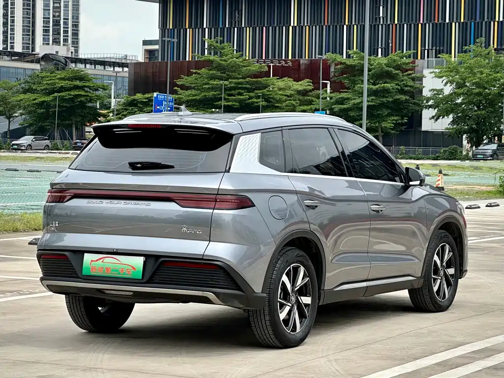 BYD Pro New Energy 2023 — фото 4
