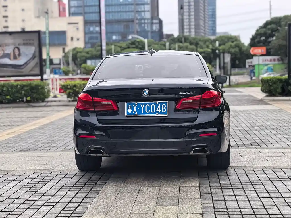 BMW 5 Series 2019