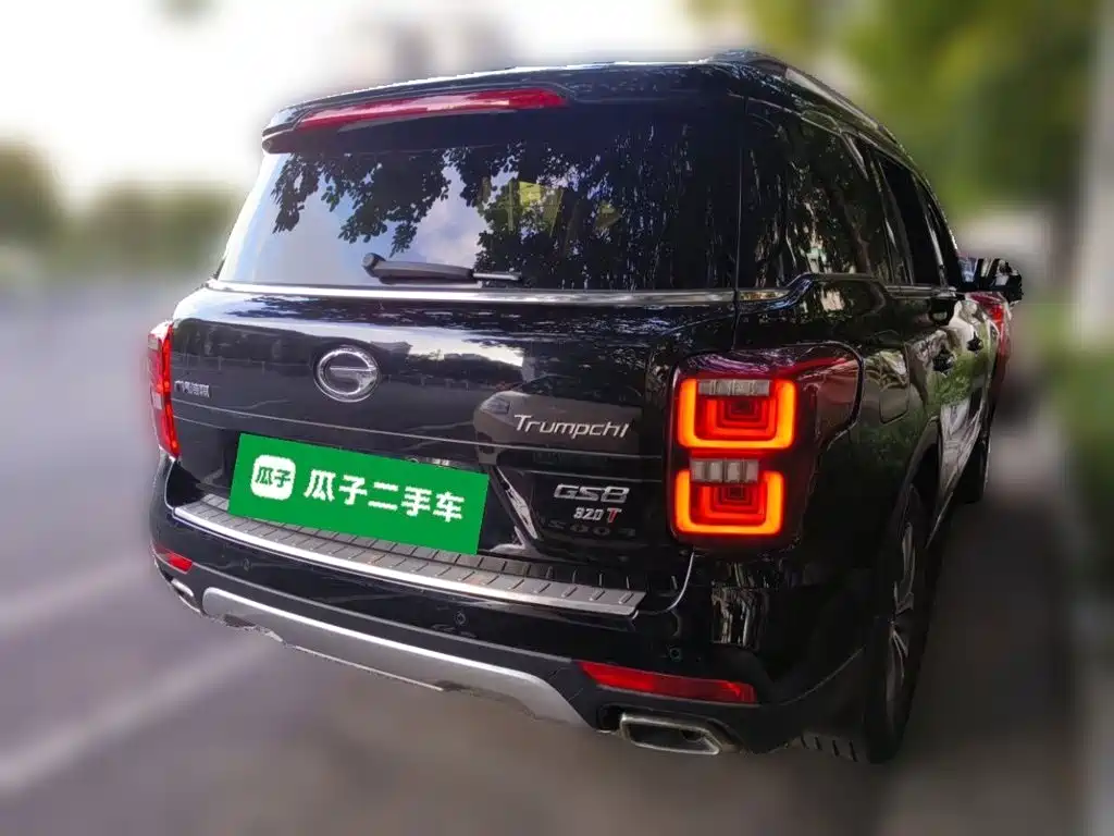 GAC Trumpchi GS8 2019 — фото 4