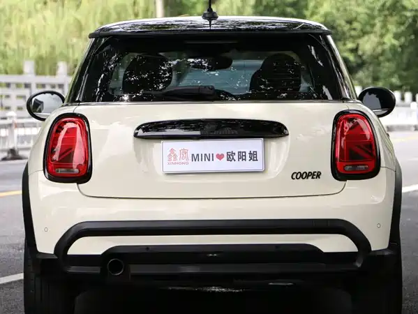 MINI MINI 2022