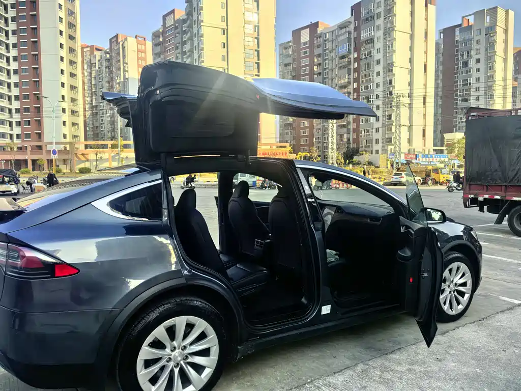 Tesla Model X 2020 — фото 9