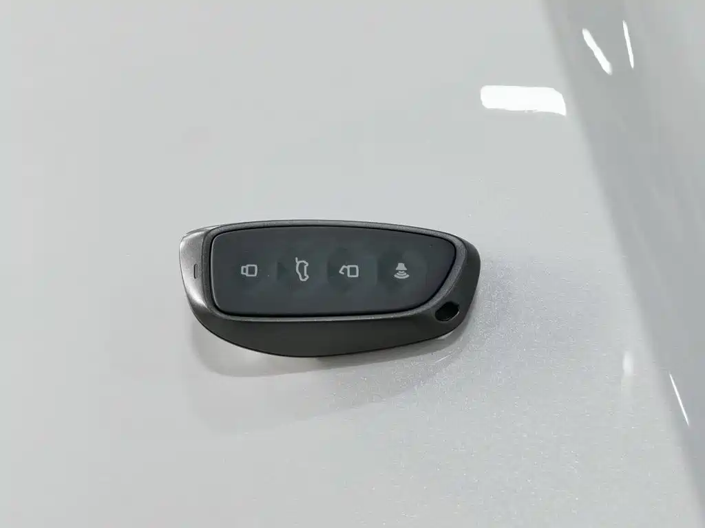 Haval Raptors New Energy 2025 — фото 19
