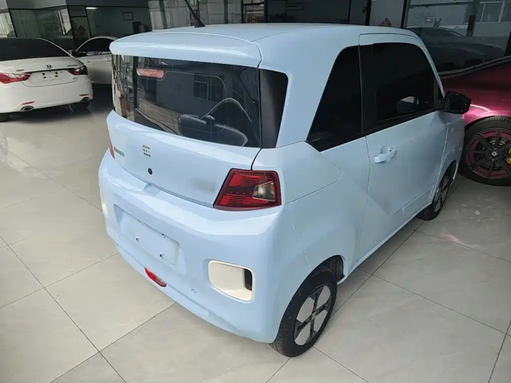Fengguang MINIEV 2024