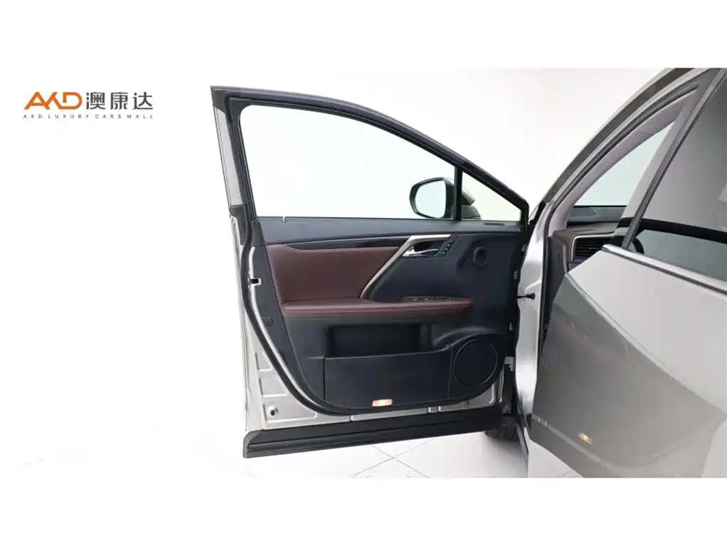 Lexus RX 2021 — фото 10