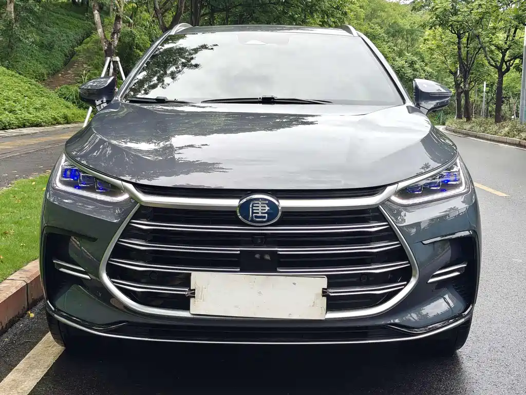 BYD Tang New Energy 2023 — фото 3