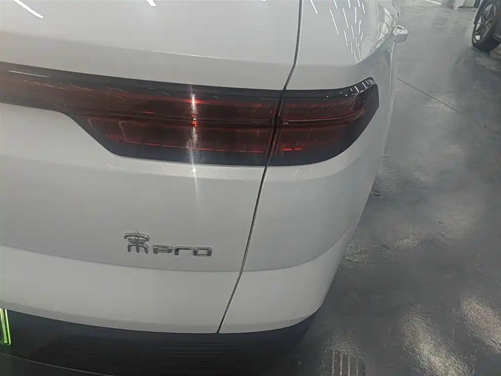BYD Pro New Energy 2025 — фото 24