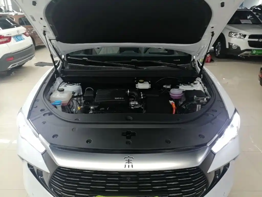 BYD Song Pro New Energy 2025 — фото 20