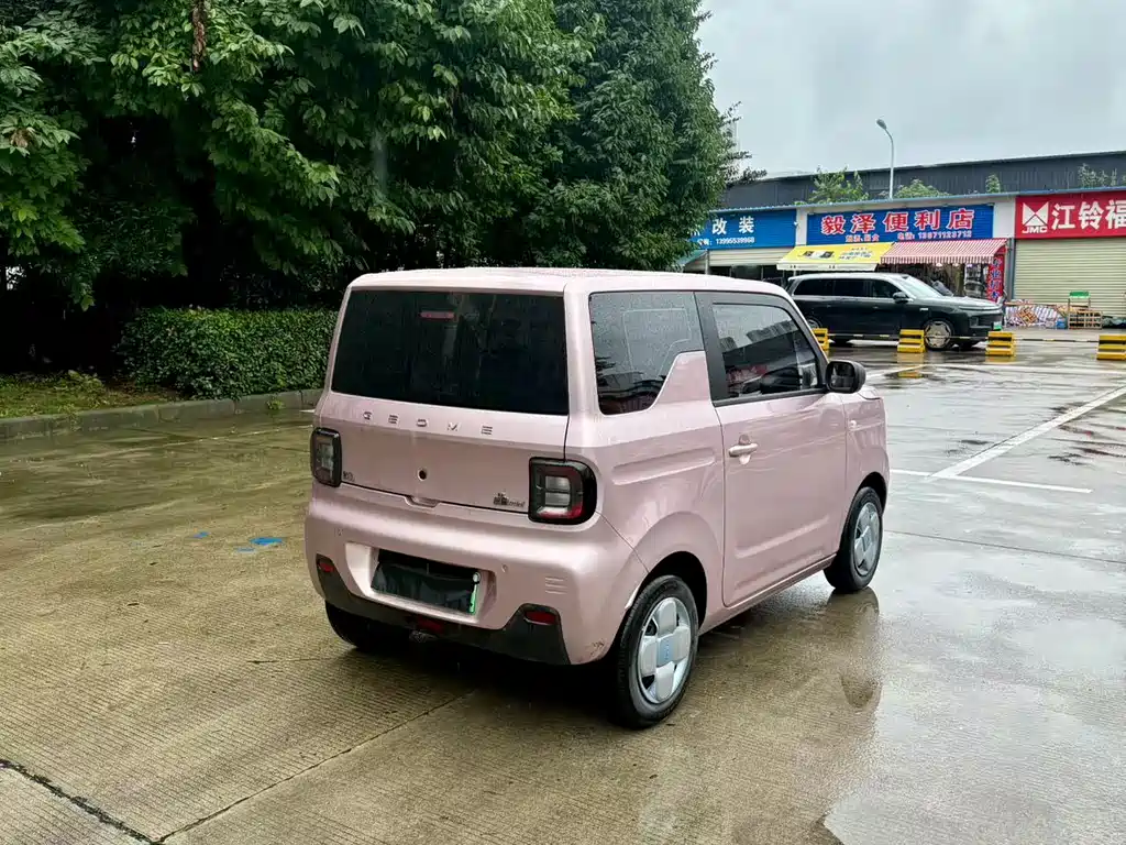 Galaxy Panda 2023