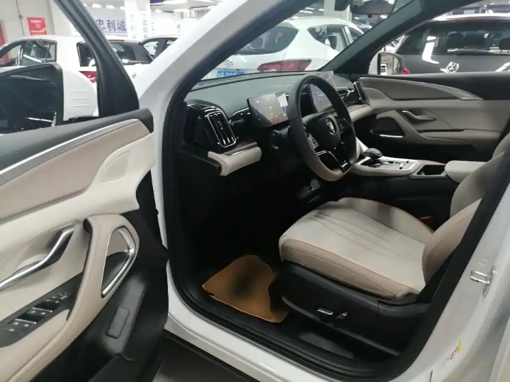 BYD Song Pro New Energy 2025 — фото 16