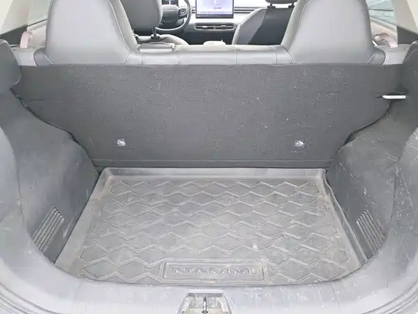 Dongfeng Nano 01 2025