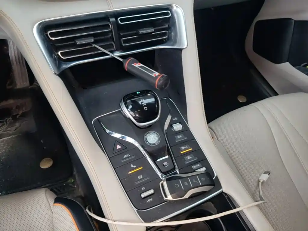 BYD Song PLUS New Energy 2021 — фото 14