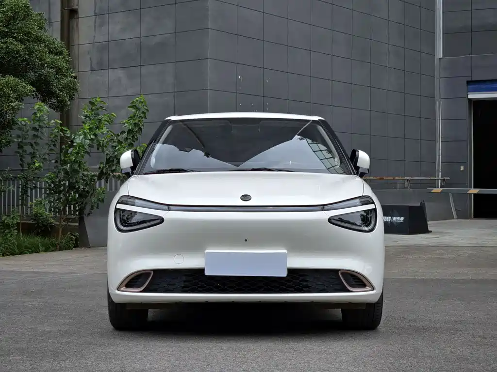 Dongfeng Nano 01 2024