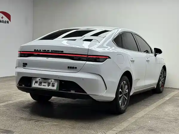 BYD Destroyer 05 2024