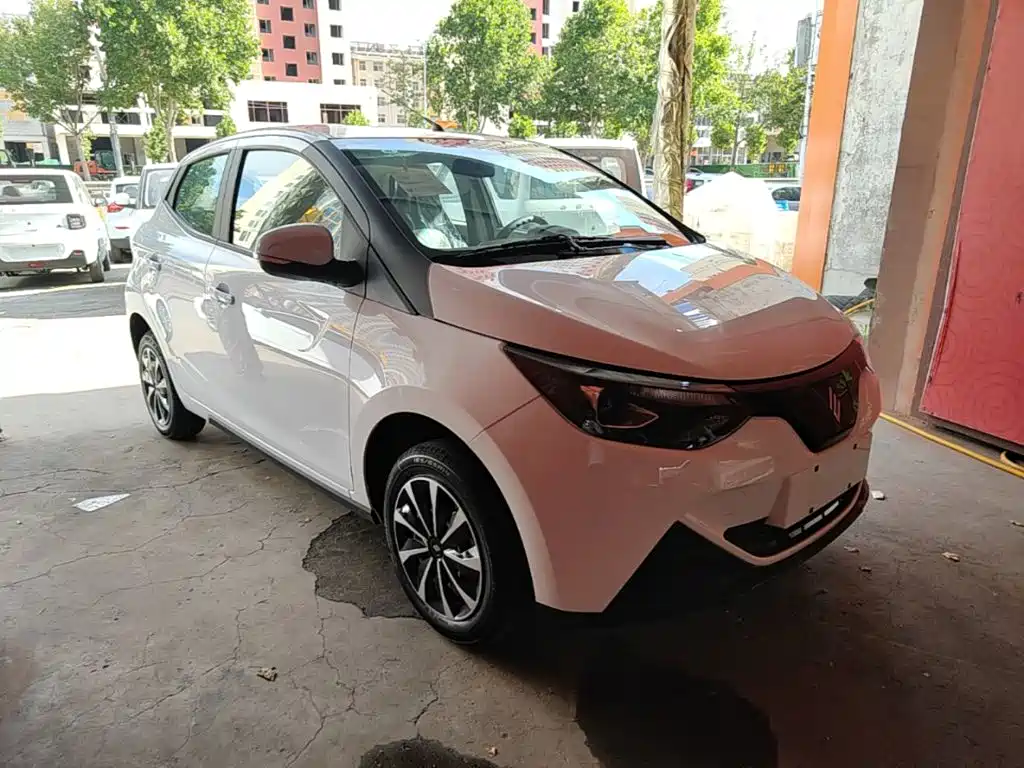 JMEV EV2 2026
