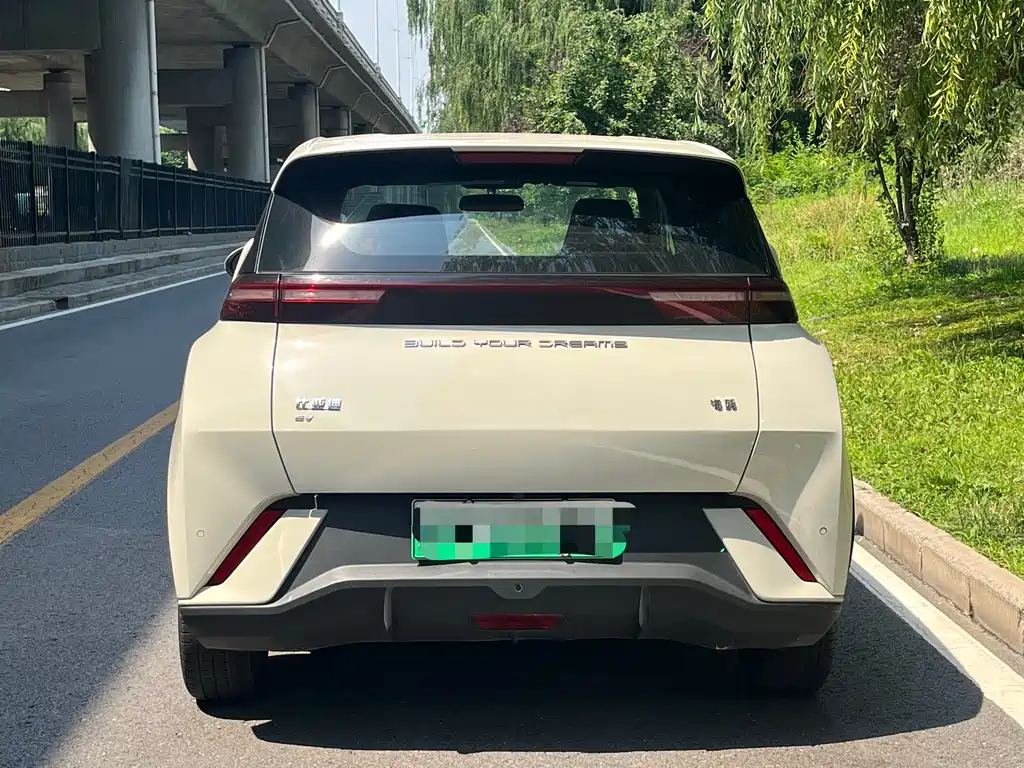 BYD Seagull 2024