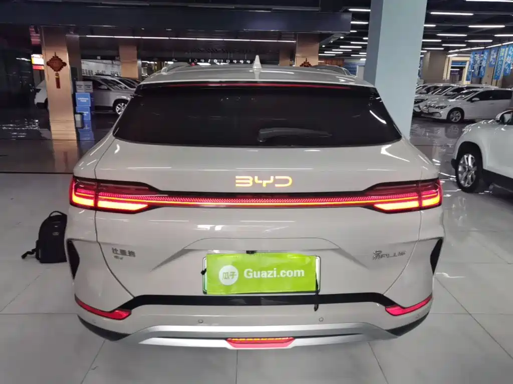 BYD Song PLUS New Energy 2024 — фото 6