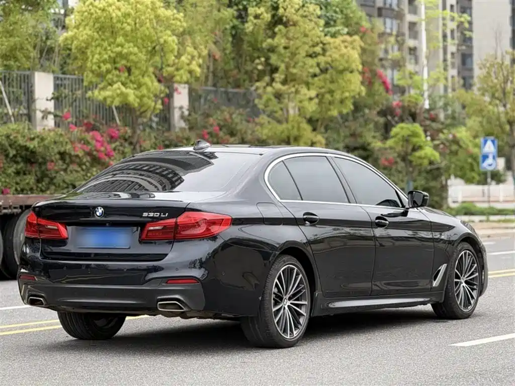 BMW 5 Series 2020 — фото 16