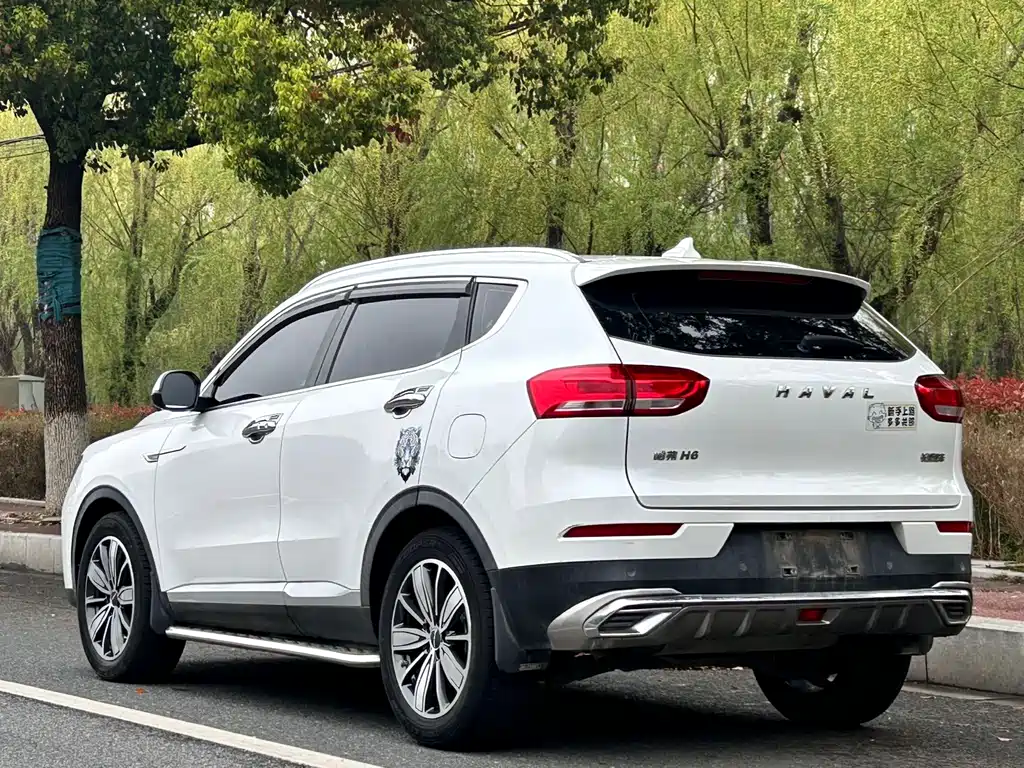 Haval H6 2021 — фото 4