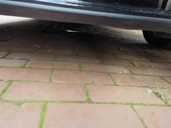 Volkswagen CC 2021