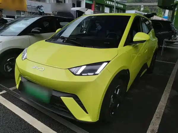 BYD Seagull 2024