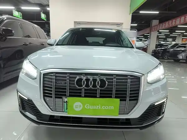 Audi Q2L E-Tron 2020