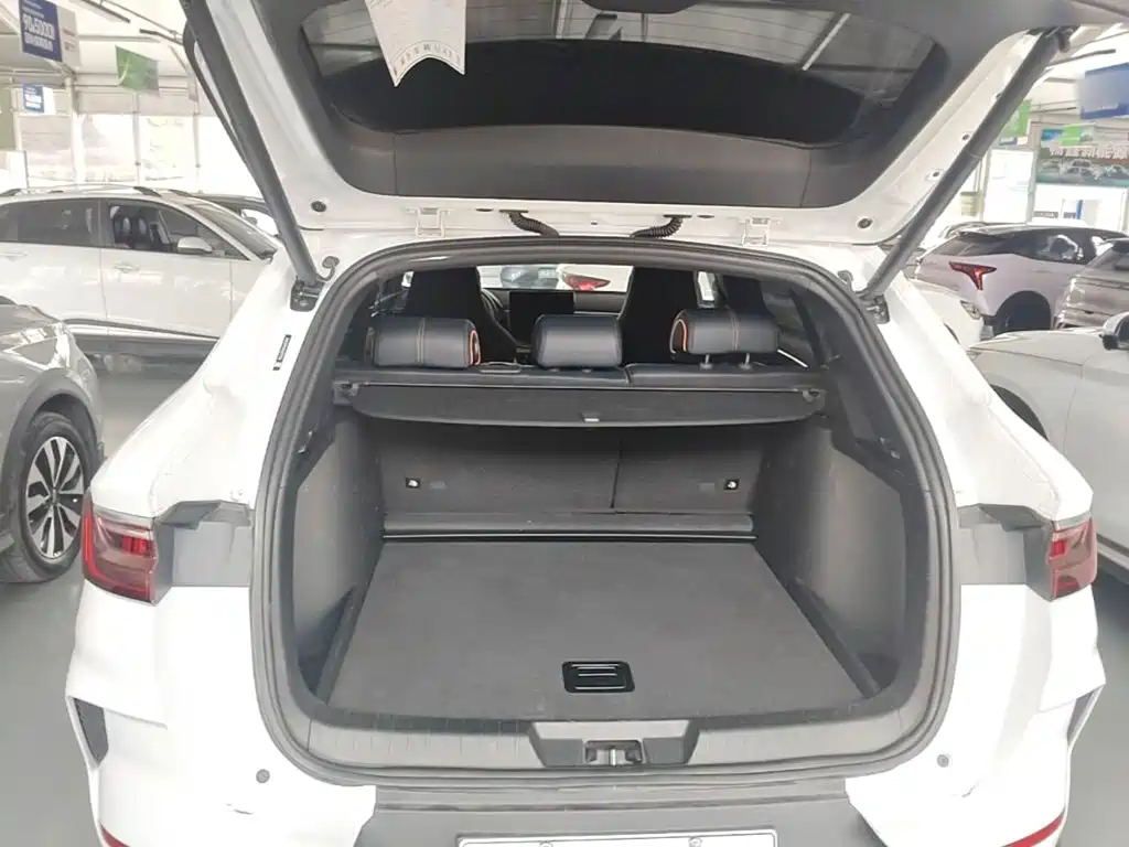 BYD Song PLUS New Energy 2022 — фото 19