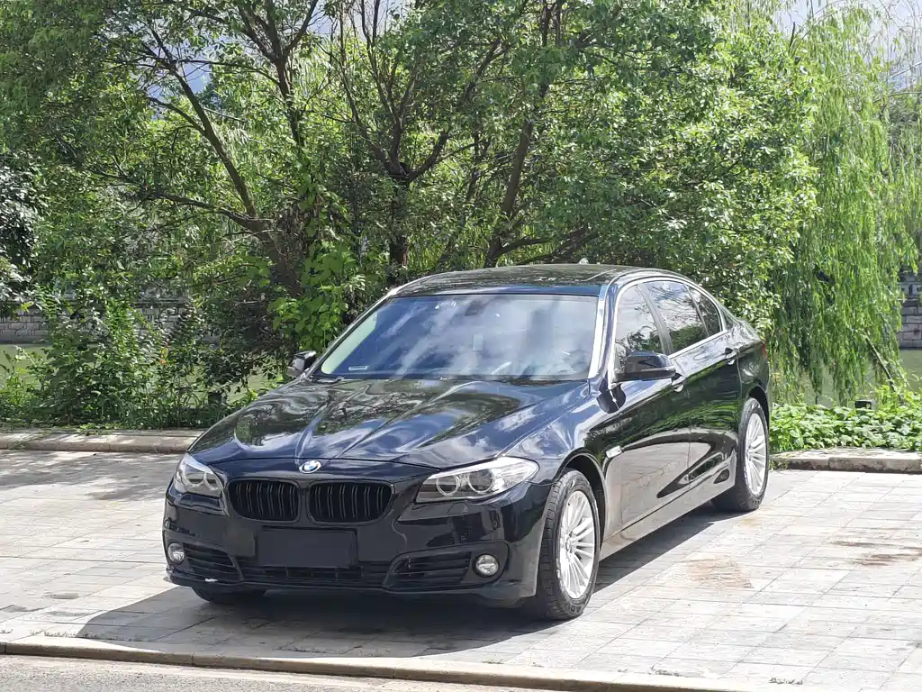 BMW 5 Series 2016 — фото 1