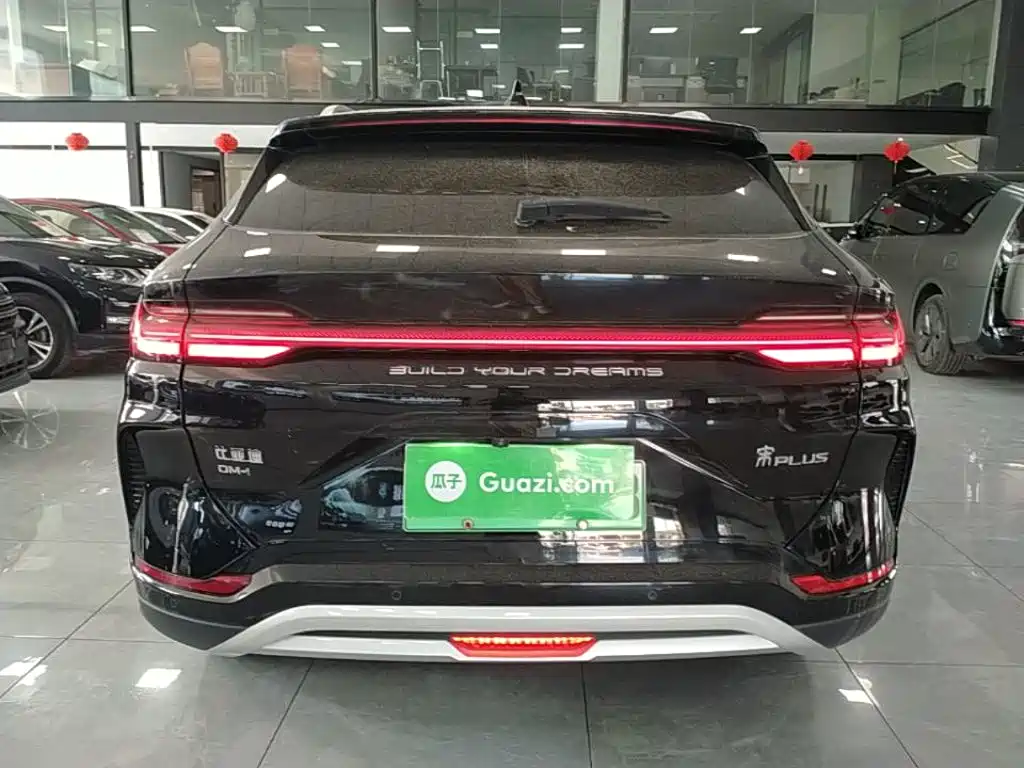 BYD Song PLUS New Energy 2024 — фото 6