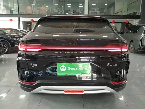 BYD Song PLUS New Energy 2024