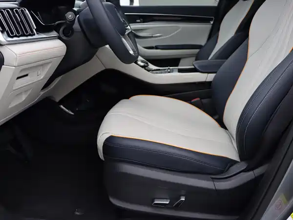BYD Song PLUS New Energy 2021