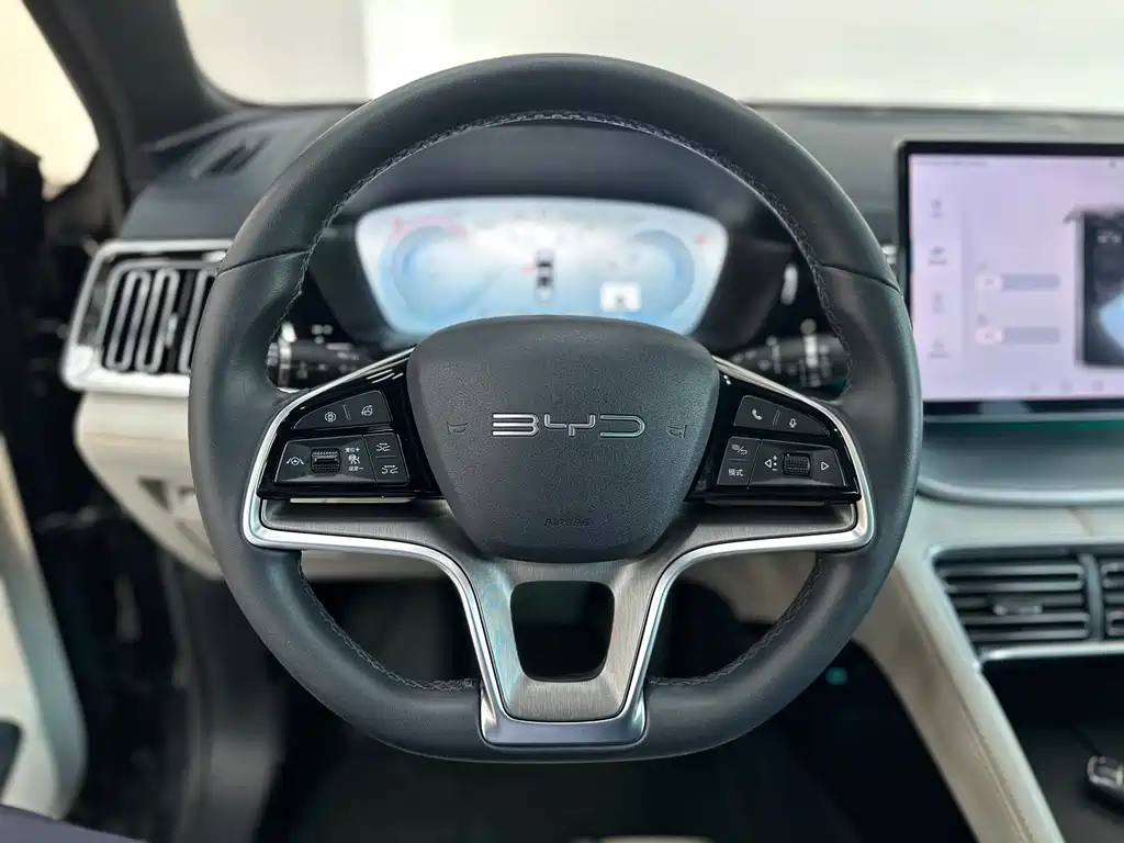 BYD PLUS New Energy 2024 — фото 7