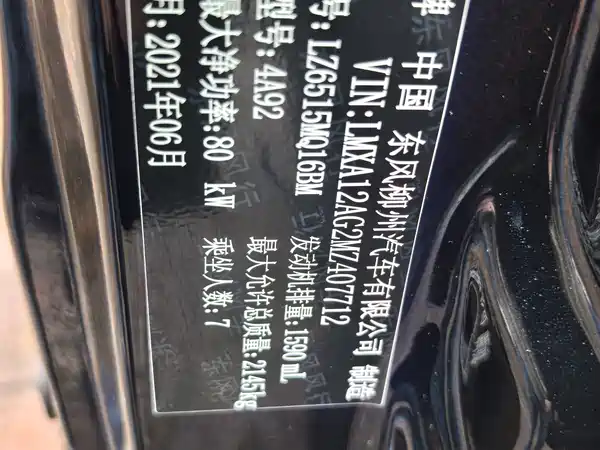 Dongfeng Lingzhi 2021