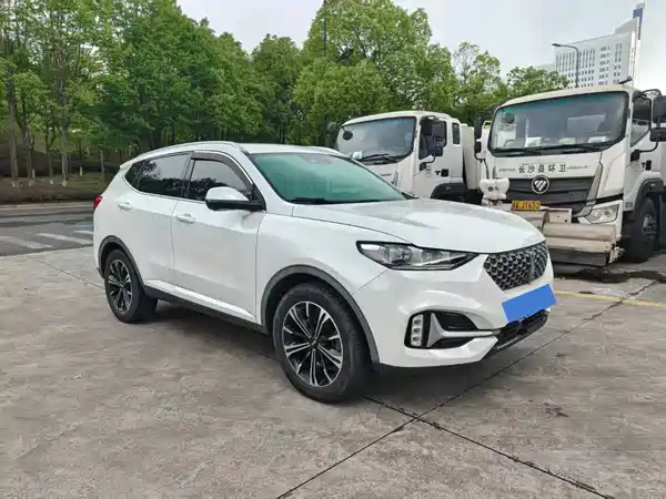 Wey VV6 2021