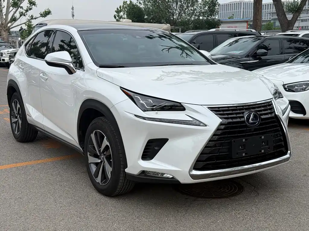 Lexus NX 2019 — фото 4