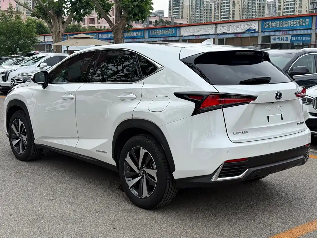 Lexus NX 2019 — фото 17