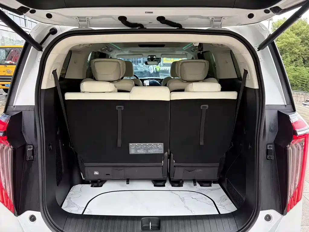GAC Motor Trumpchi E9 2023 — фото 11