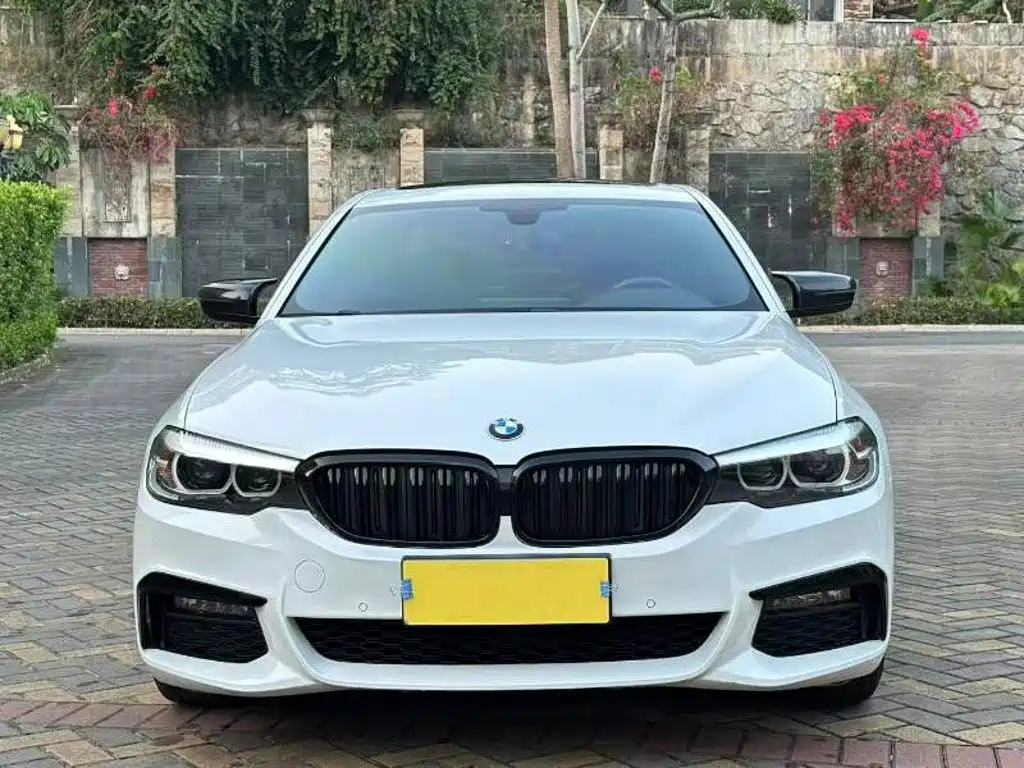 BMW 5 Series 2019