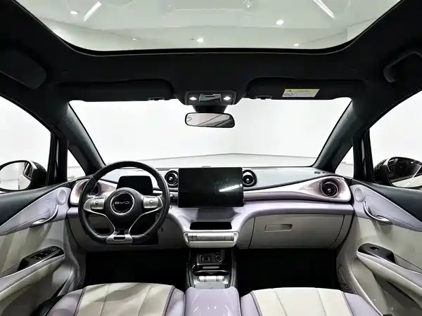 BYD Dolphin 2022